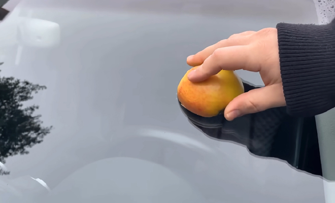 Кадр из видео @smartfoxofficial